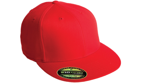 ZERO FUCKS GIVEN FITTED HATS